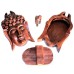 Bali Magic Box - Buddha Head Bali Magic Box - Buddha Head