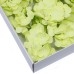 10 Craft Soap Flowers - Hyacinth Bean - Spring Green 10 Craft Soap Flowers - Hyacinth Bean - Spring Green