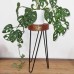 Albasia Wood Plant Stand - Whitewash Albasia Wood Plant Stand - Whitewash