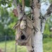 Driftwood Birdbox - Wallhanging Driftwood Birdbox - Wallhanging