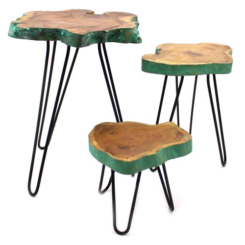 Set of 3 Gamal Wood Plant Stands - Greenwash Set of 3 Gamal Wood Plant Stands - Greenwash