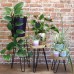 Set of 3 Gamal Wood Plant Stands - Natural Set of 3 Gamal Wood Plant Stands - Natural