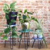 Set of 3 Albasia Wood Plant Stands - Turtles Set of 3 Albasia Wood Plant Stands - Turtles