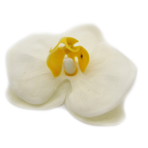 10 Craft Soap Flower - Paeonia - Cream 10 Craft Soap Flower - Paeonia - Cream