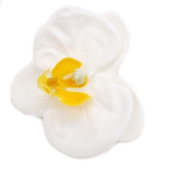 10 Craft Soap Flower - Paeonia - White